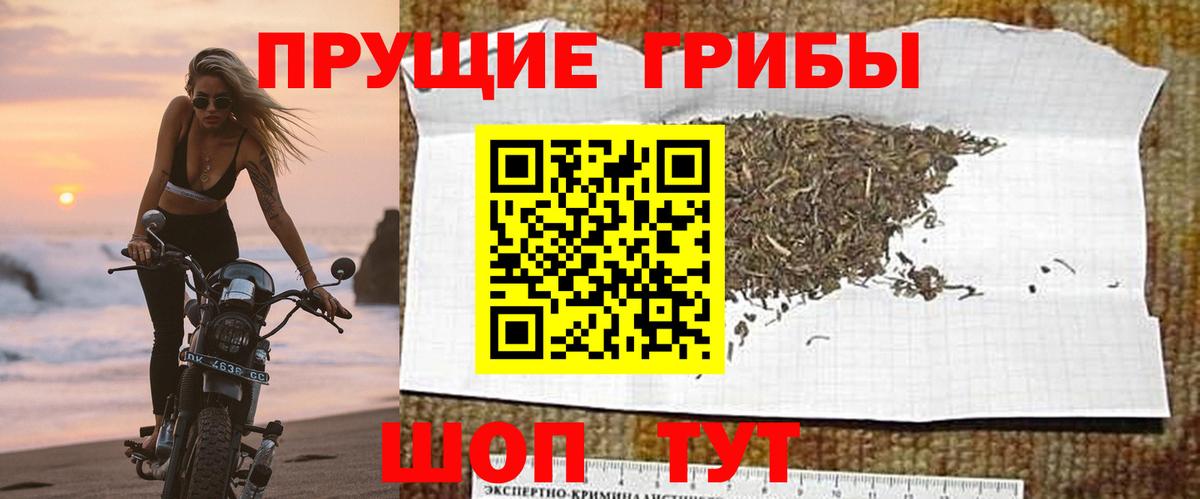 Галлюциногенные грибы Cubensis  Вход с VPN  Всеволожск 
