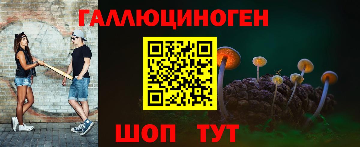 Галлюциногенные грибы Psilocybe Всеволожск